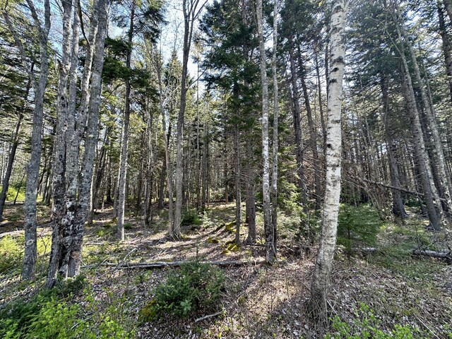 MAP4 Reach Rd, Brooklin, ME 04616 - photo 6