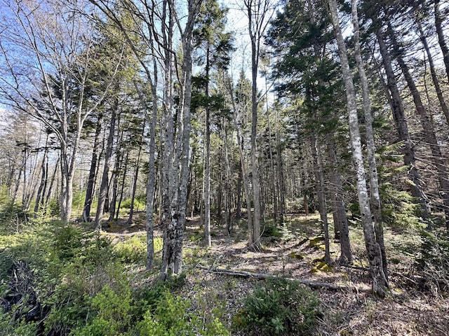 MAP4 Reach Rd, Brooklin, ME 04616 - photo 7