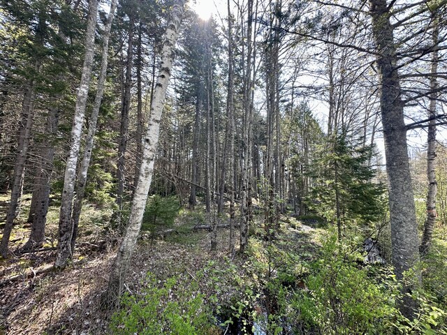MAP4 Reach Rd, Brooklin, ME 04616 - photo 8