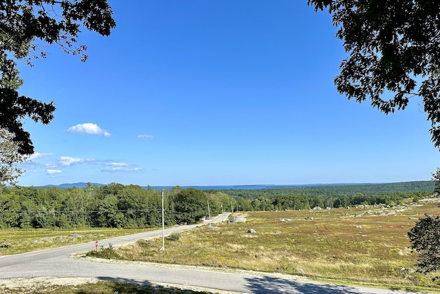 5 Polka Valley Rd, Sedgwick, ME 04676 - view of asphalt road featuring a view of trees