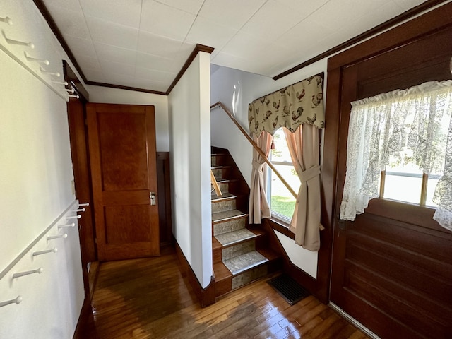 5 Polka Valley Rd, Sedgwick, ME 04676 - entrance foyer with hardwood / wood-style flooring, stairs, and ornamental molding