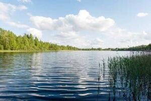 1270 Lakeview Dr Unit 11, China, ME 04358 - water view with a heavily wooded area