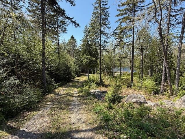 49 Christmas Cove Rd, Crawford, ME 04694 - photo 77