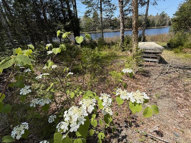 49 Christmas Cove Rd, Crawford, ME 04694 - photo 81
