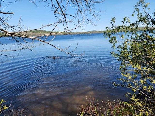 OFF Sharrard Rd, Charlotte, ME 04666 - photo 2