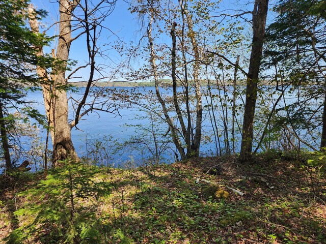 OFF Sharrard Rd, Charlotte, ME 04666 - photo 8