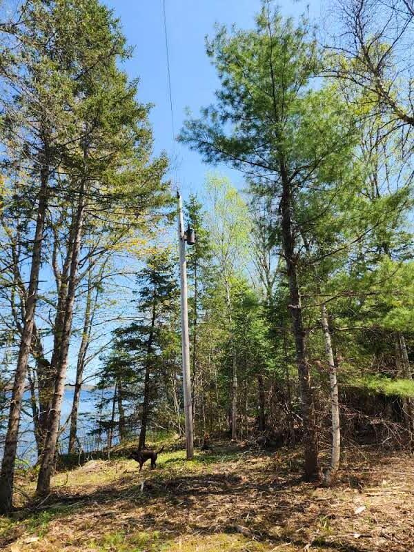 OFF Sharrard Rd, Charlotte, ME 04666 - photo 5