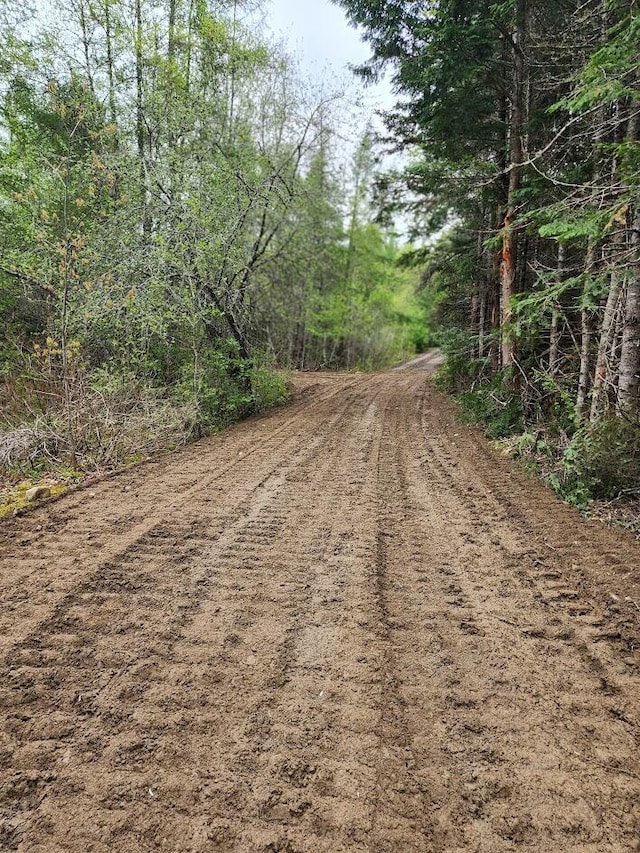 OFF Sharrard Rd, Charlotte, ME 04666 - photo 12
