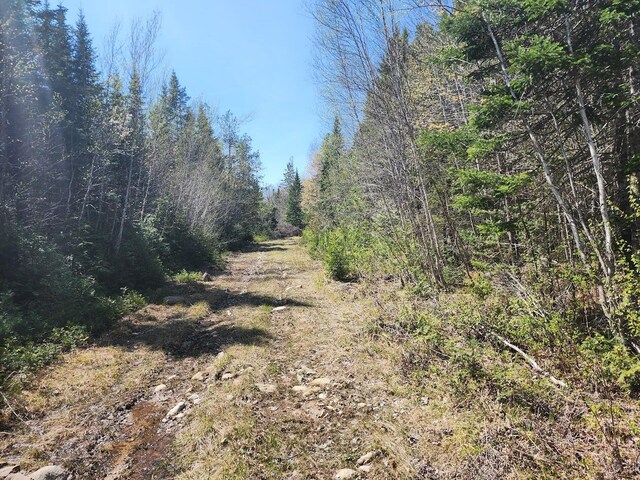 OFF Sharrard Rd, Charlotte, ME 04666 - photo 13
