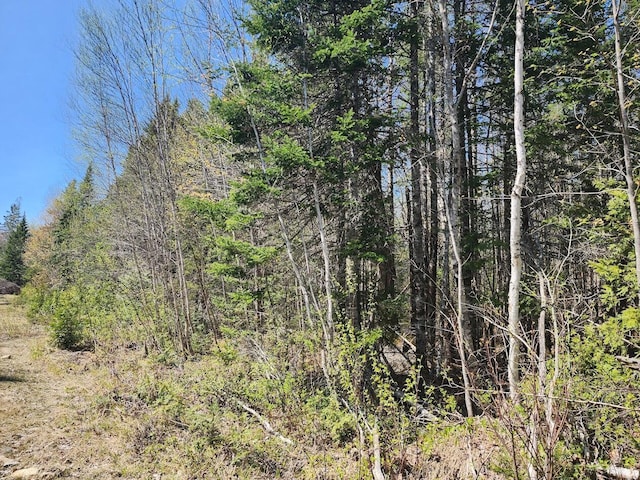 OFF Sharrard Rd, Charlotte, ME 04666 - photo 14