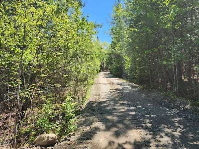 OFF Sharrard Rd, Charlotte, ME 04666 - photo 15