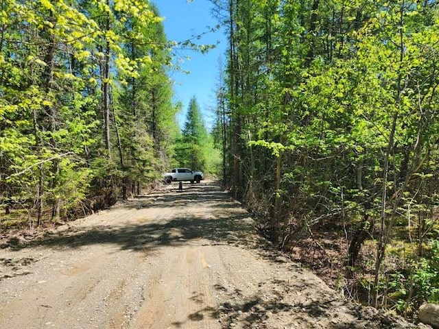 OFF Sharrard Rd, Charlotte, ME 04666 - photo 16