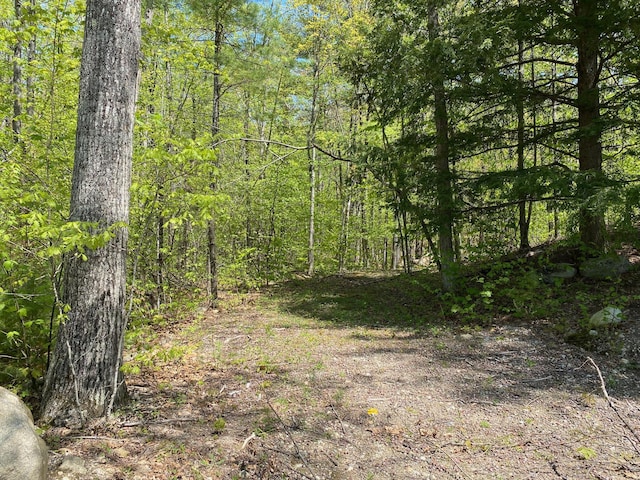 00 Westview Dr, Raymond, ME 04071 - photo 3
