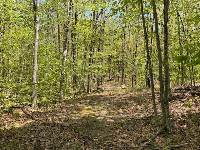 00 Westview Dr, Raymond, ME 04071 - photo 4