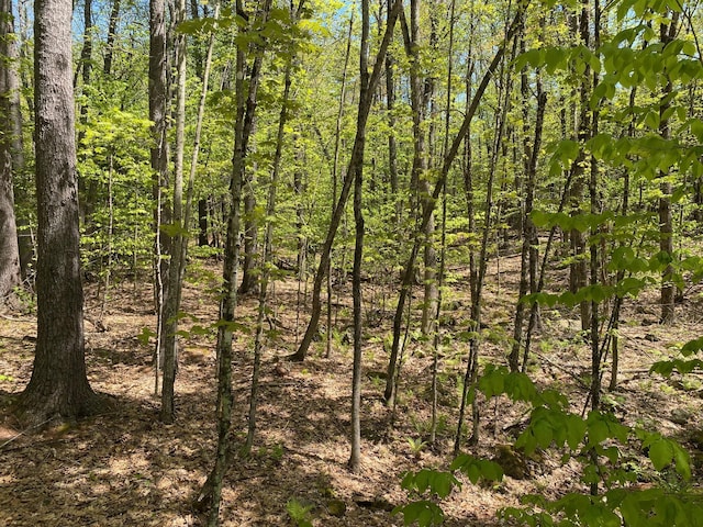 00 Westview Dr, Raymond, ME 04071 - photo 8