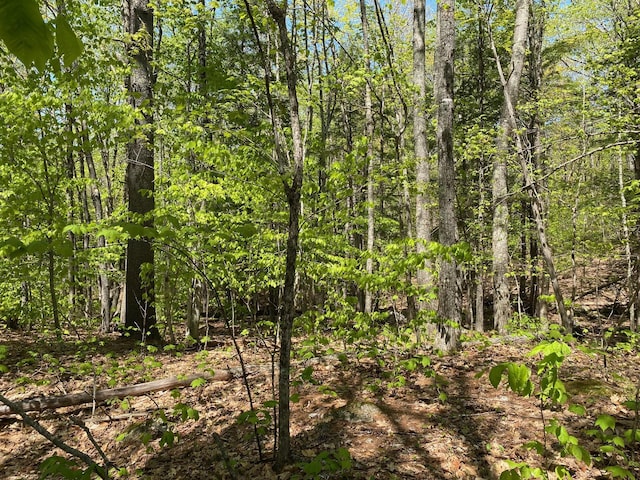 00 Westview Dr, Raymond, ME 04071 - photo 9