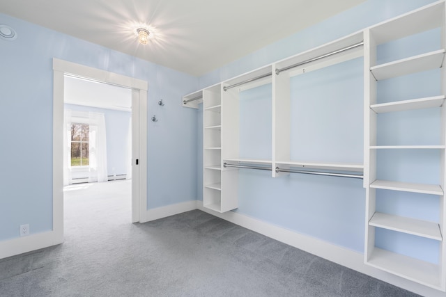 246 Coombs Rd, Brunswick, ME 04011 - walk in closet with carpet and a baseboard radiator