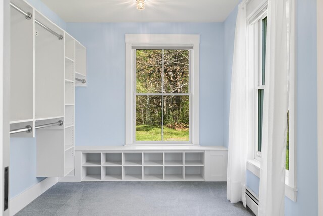 246 Coombs Rd, Brunswick, ME 04011 - walk in closet featuring carpet flooring and baseboard heating