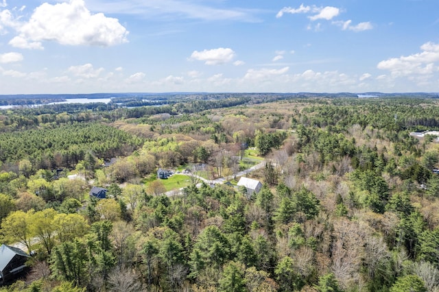 246 Coombs Rd, Brunswick, ME 04011 - drone / aerial view of a forest