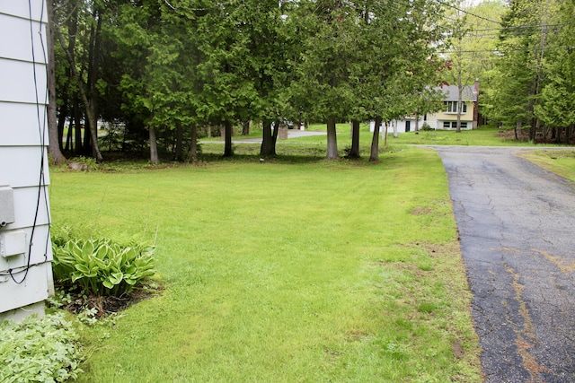 74 Fields Pond Rd, Holden, ME 04429 - view of green lawn with asphalt driveway