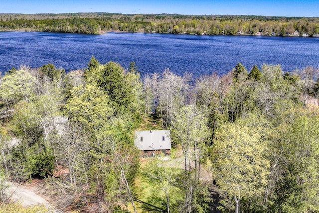 40 Birch Way, Stetson, ME 04488 - aerial view of property and surrounding area featuring a nearby body of water and a forest