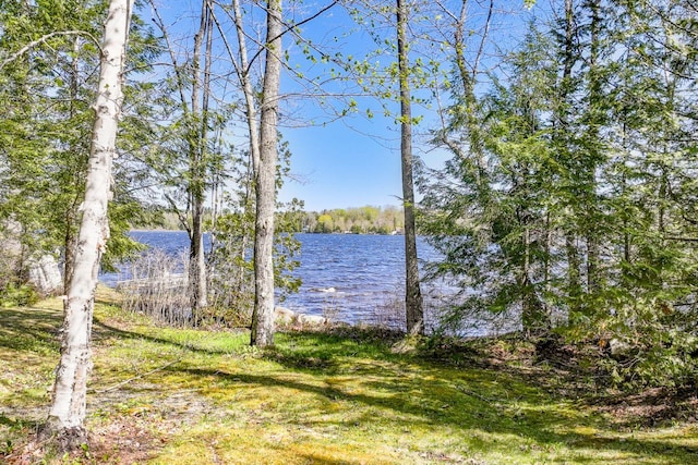 40 Birch Way, Stetson, ME 04488 - water view