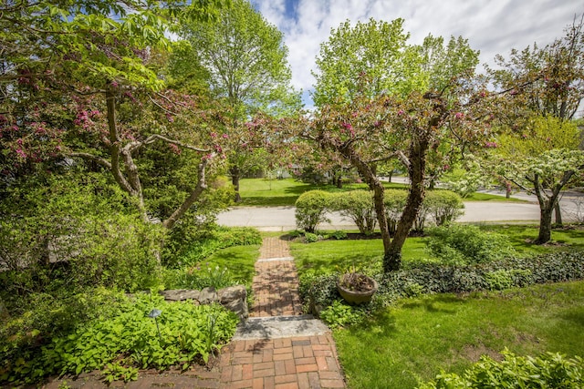 37 Mountain St, Camden, ME 04843 - view of home's community featuring a lawn