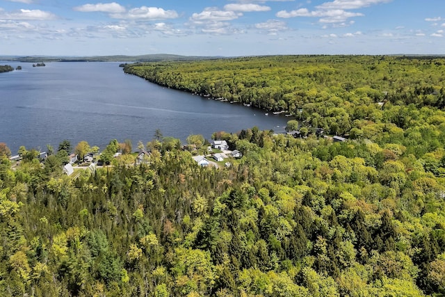117 Pinkhams Cove Rd, Belgrade, ME 04917 - aerial view of a heavily wooded area and a large body of water