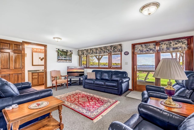 117 Pinkhams Cove Rd, Belgrade, ME 04917 - carpeted living room with plenty of natural light