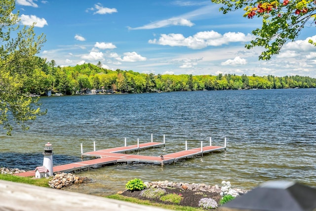 117 Pinkhams Cove Rd, Belgrade, ME 04917 - dock featuring a water view