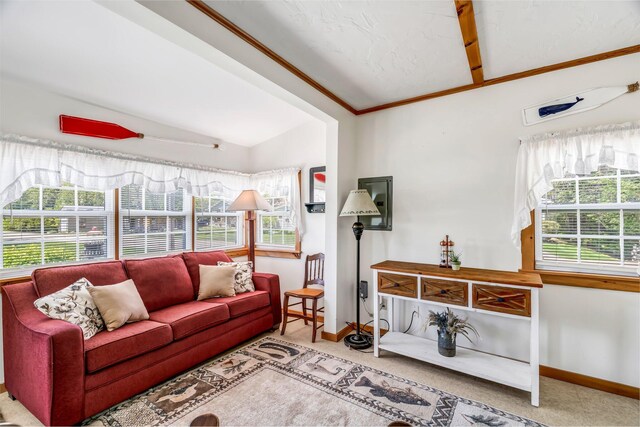117 Pinkhams Cove Rd, Belgrade, ME 04917 - carpeted living room featuring baseboards and lofted ceiling