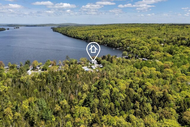 117 Pinkhams Cove Rd, Belgrade, ME 04917 - drone / aerial view of a forest and a large body of water