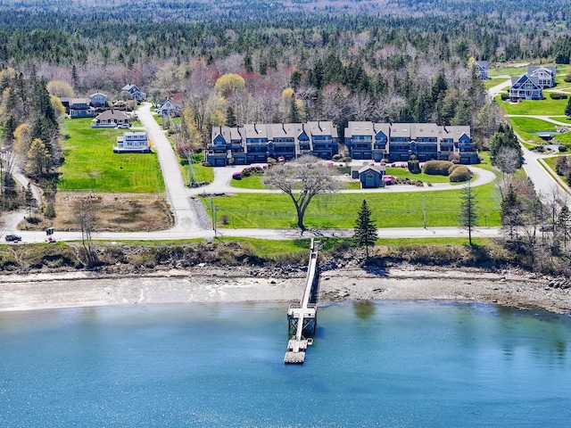 bird's eye view of a forest and a large body of water