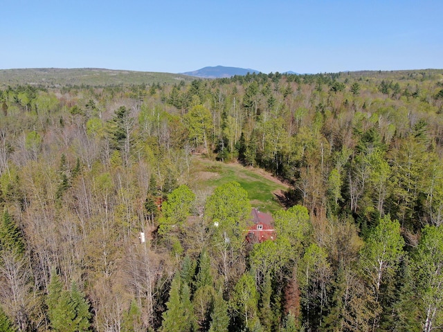 aerial view of a forest and a mountain backdrop