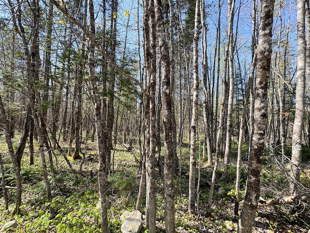 view of undeveloped land