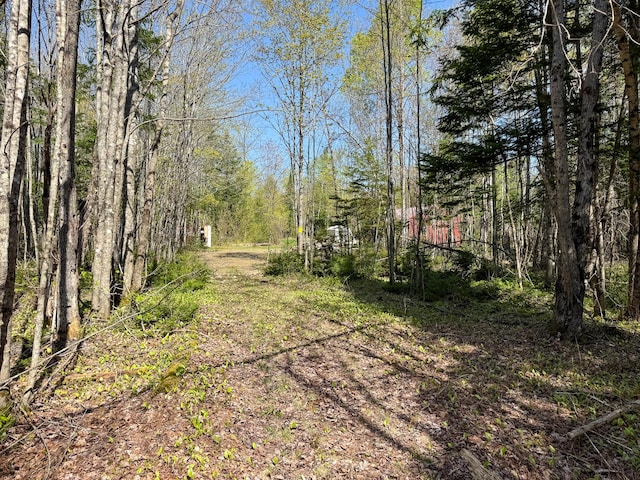 view of street featuring a wooded view