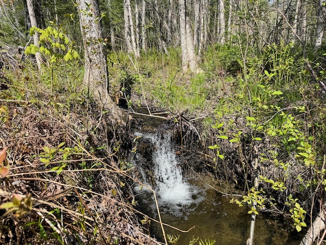view of undeveloped land