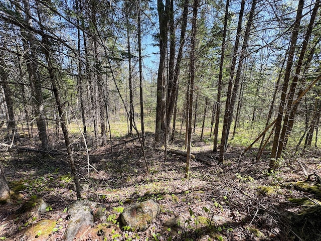 view of nature