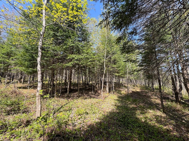 view of wooded area