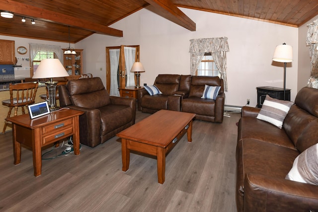 19 Pine Acres Dr, Cornish, ME 04020 - living room featuring wooden ceiling, wood finished floors, and a baseboard radiator