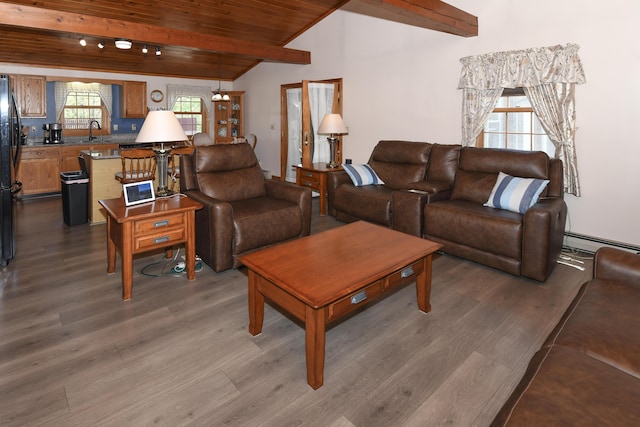 19 Pine Acres Dr, Cornish, ME 04020 - living room with wooden ceiling, dark wood finished floors, and a baseboard heating unit