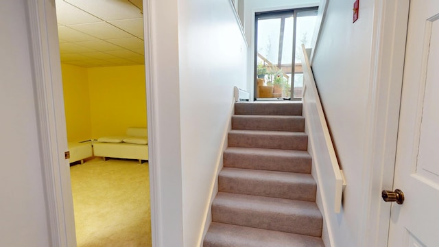 28 Meadow Ln, Brewer, ME 04412 - stairway featuring carpet floors, a drop ceiling, and baseboards