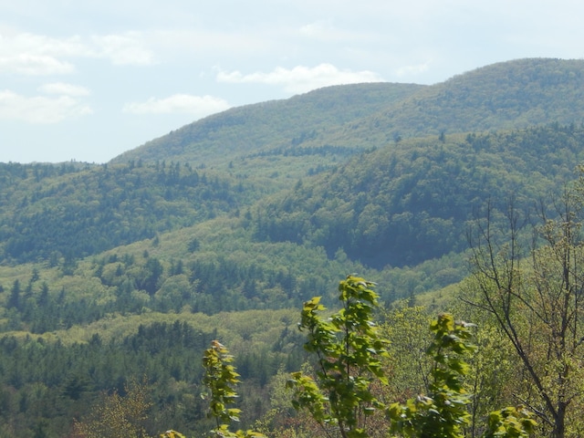 80 Pasture Ln, Brownfield, ME 04010 - mountain view with a heavily wooded area