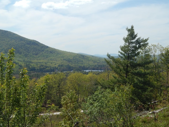 80 Pasture Ln, Brownfield, ME 04010 - view of mountain background featuring a heavily wooded area