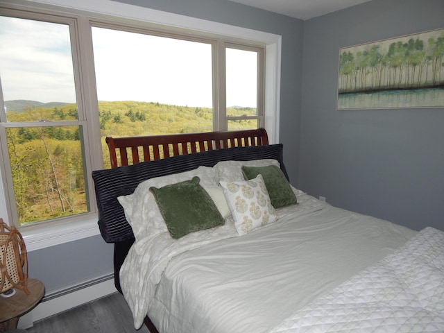 80 Pasture Ln, Brownfield, ME 04010 - bedroom featuring a baseboard heating unit and wood finished floors