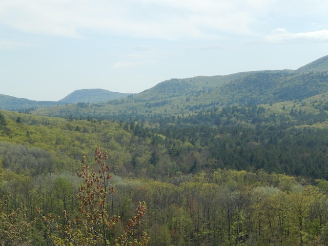 80 Pasture Ln, Brownfield, ME 04010 - view of mountain background with a heavily wooded area