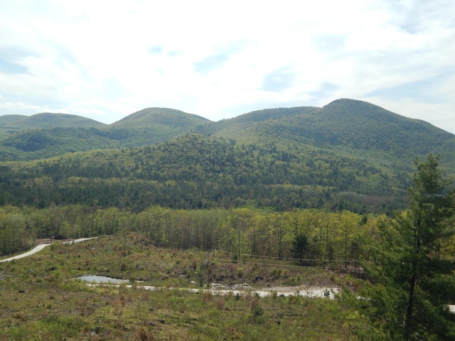 80 Pasture Ln, Brownfield, ME 04010 - view of mountain backdrop featuring a heavily wooded area