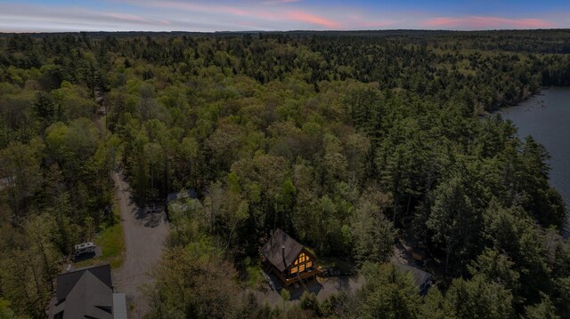 aerial view at dusk of a wooded view and a water view