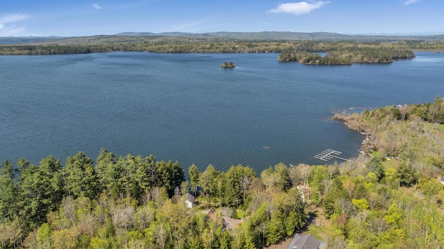 water view featuring a forest and mountains