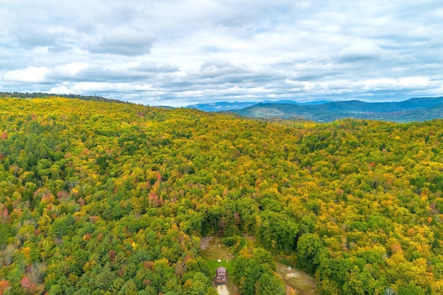LOT3B Green Woods, Peru, ME 04290
